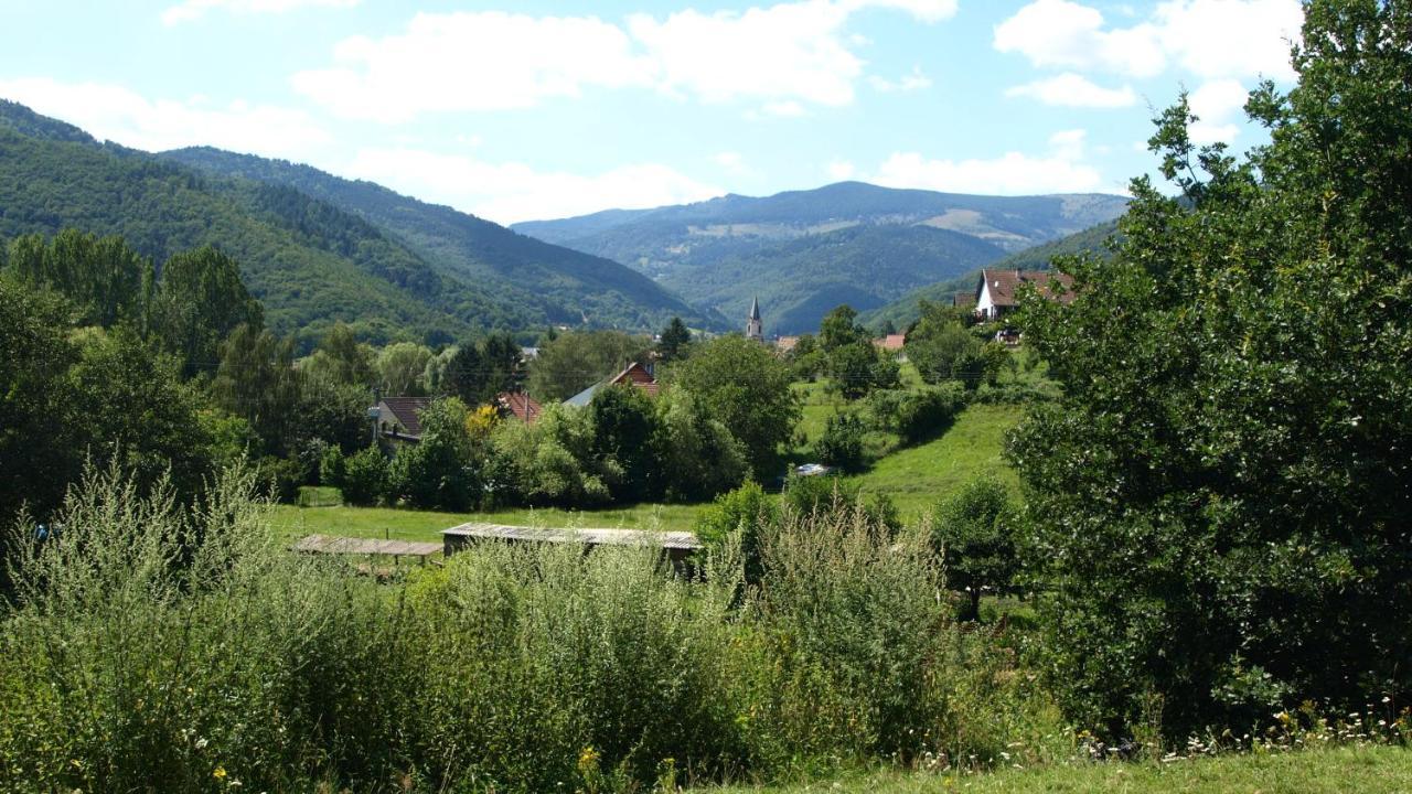 Gite Du Durrenbach Lautenbach 외부 사진